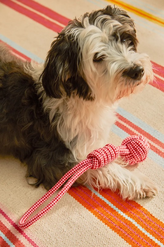 Calma House zabawka dla pupila Buby 32 x 6,5 cm BUBY.PT38.ROS