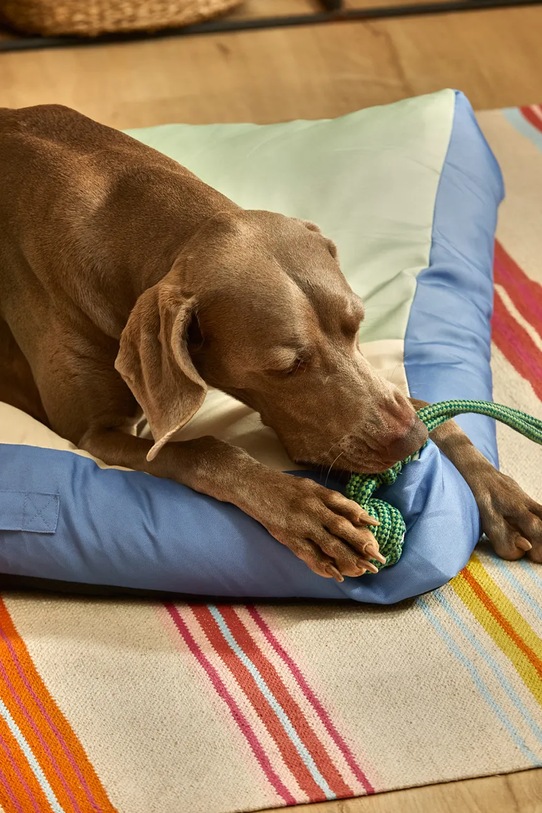 Calma House zabawka dla pupila Buby 32 x 6,5 cm zielony BUBY.PT38.TUR