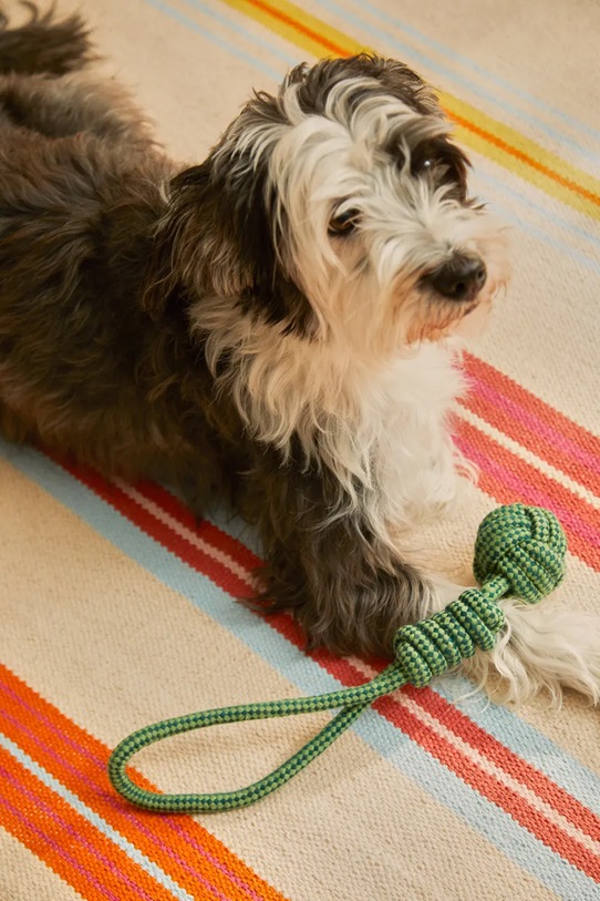 Calma House zabawka dla pupila Buby 32 x 6,5 cm BUBY.PT38.TUR