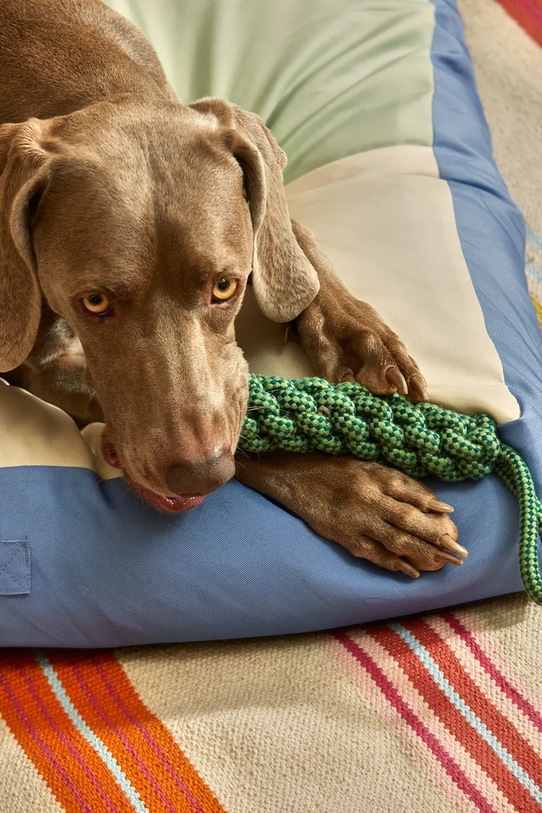 Calma House zabawka dla pupila Buby 31 cm BUBY.PT31.TUR zielony