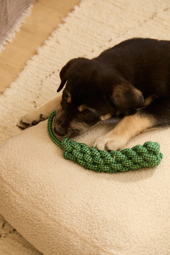 Calma House zabawka dla pupila Buby 31 cm BUBY.PT31.TUR