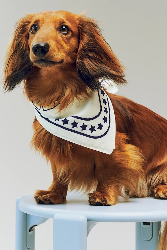 Lifestyle HAY apaszka dla psa bawełniana 55 x 55 cm AE930.D281.AP76 biały