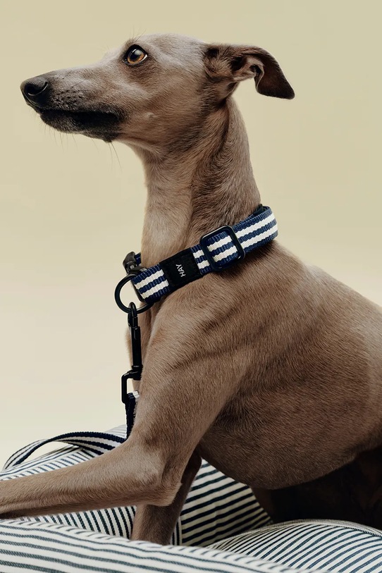 Lifestyle HAY smycz dla psa M/L AD865.D029.AU33 multicolor