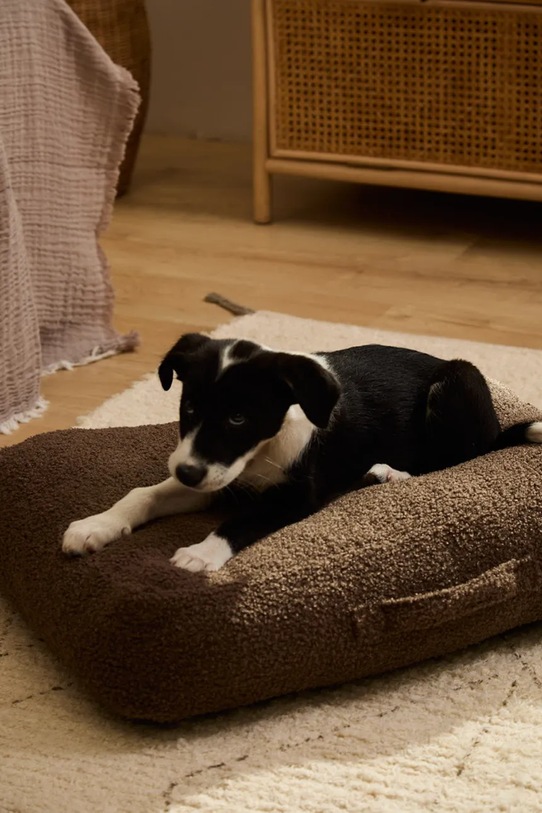 Calma House poduszka dla psa Taico 60 x 40 x 12 cm TAICO.CS60.MRR brązowy