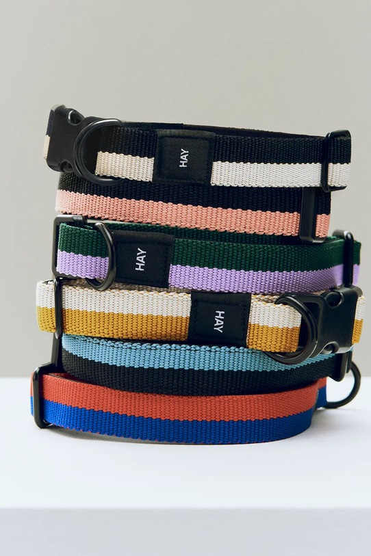 HAY obroża dla psa M/L 2,5 x 40-65 cm AD864.D013.AL56 multicolor AA00