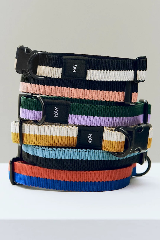 HAY obroża dla psa M/L 2,5 x 40-65 cm AD864.D013.AS17 multicolor AA00