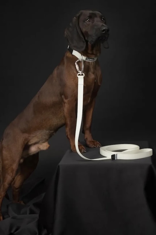 Флуоресцентна каишка за куче PAIKKA 180 x 2,5 cm 1039003 бял AA00