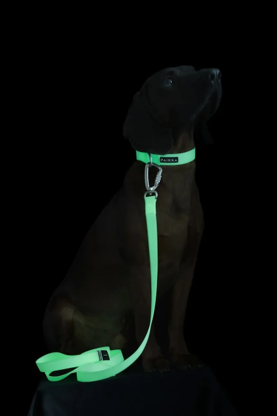 Lifestyle PAIKKA smycz fluorescencyjna dla psa 180 x 2,5 cm 1039003 biały