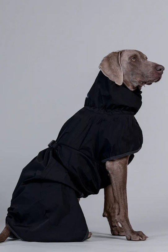 Кучешки дъждобран PAIKKA 41 x 26 x 0,9 cm 1040061 черен