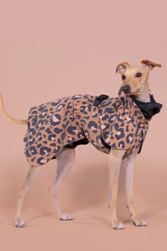 Кучешки дъждобран PAIKKA Visibility Raincoat 48 x 38 x 0,9 cm 1041005 многоцветен