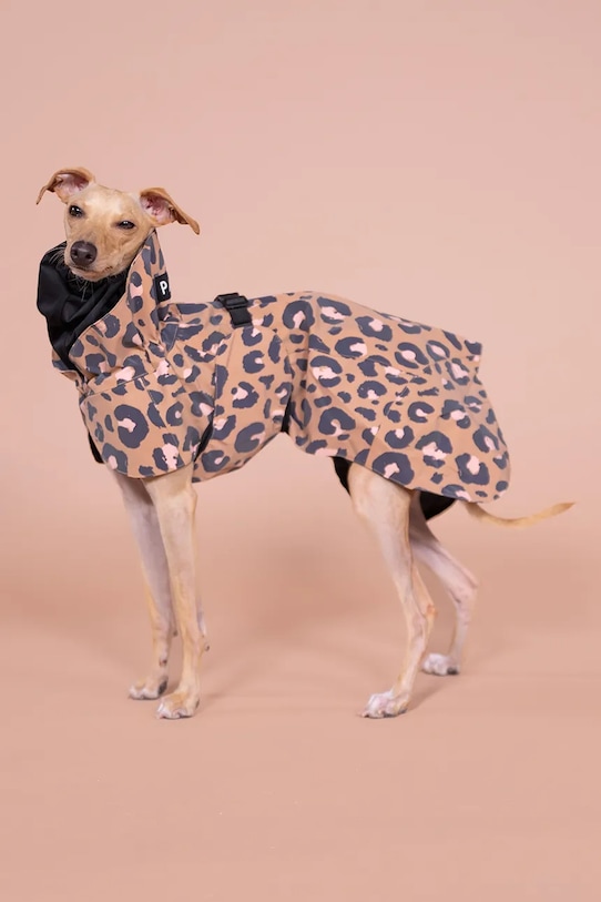 Кучешки дъждобран PAIKKA Visibility Raincoat 48 x 38 x 0,9 cm 1041008