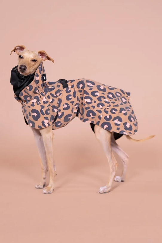 Кучешки дъждобран PAIKKA Visibility Raincoat 56 x 45 x 0,9 cm 1041011