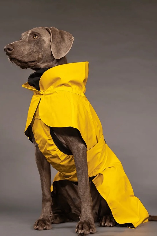 PAIKKA płaszcz przeciwdeszczowy dla psa Visibility Raincoat 48 x 38 x 0,9 cm 1044016 żółty