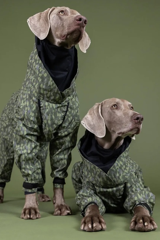 PAIKKA kombinezon przeciwdeszczowy dla psa Rain Suit Rain 46 x 40 x 1,2 cm multicolor 1045084