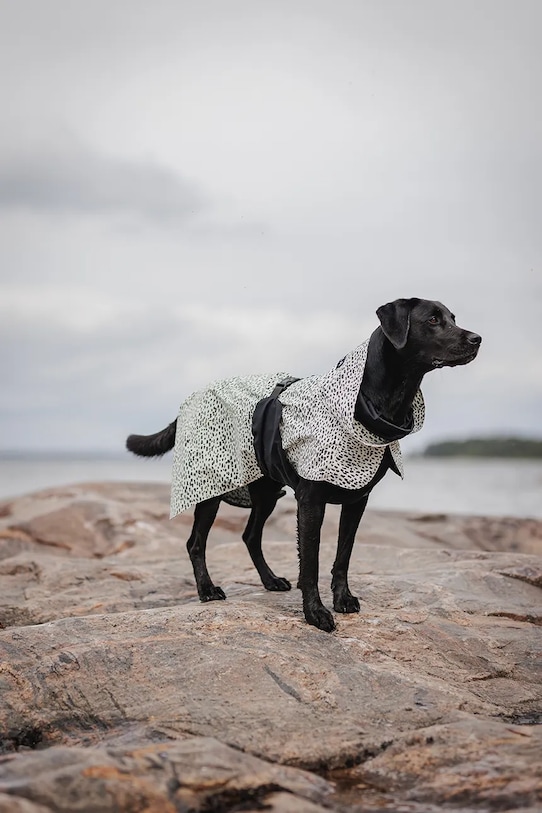 Кучешки дъждобран PAIKKA Raincoat 2.0 41 x 26 x 0,9 cm 1049047