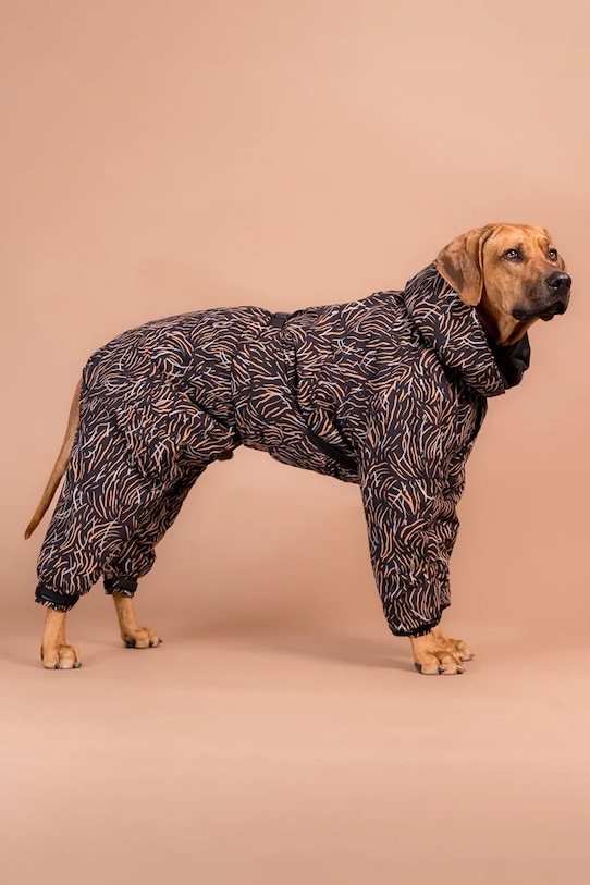 PAIKKA costum de iarnă pentru câine Winter Suit 49 x 38 x 2 cm multicolor 1040088