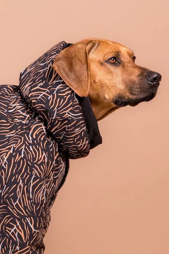 PAIKKA costum de iarnă pentru câine Winter Suit 49 x 38 x 2 cm 1040088 multicolor