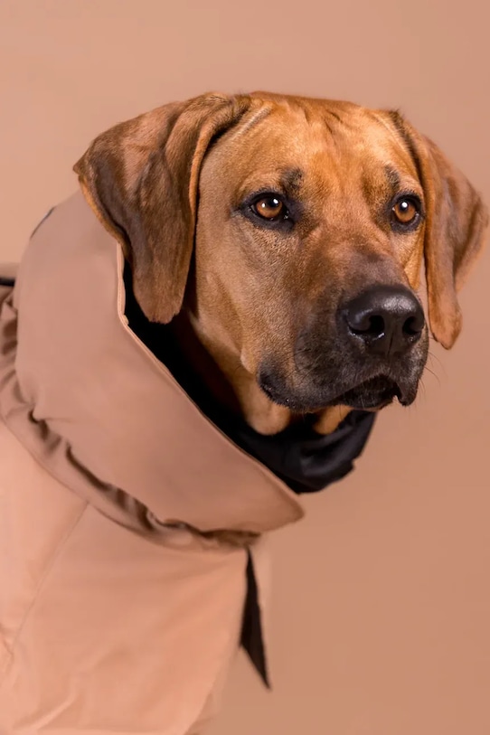 Зимно палто за куче PAIKKA Visibility Winter Jacket 45 x 40 x 2,1 cm 1041086.