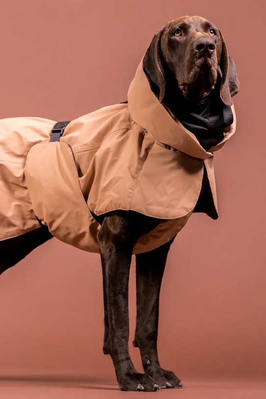 PAIKKA płaszcz zimowy dla psa Visibility Winter Jacket 48 x 42 x 2,1 cm 1041089 pomarańczowy