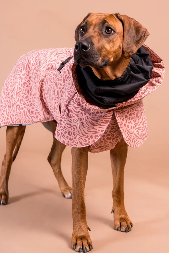 PAIKKA płaszcz zimowy dla psa Visibility Winter Jacket 45 x 40 x 2,1 cm 1042123