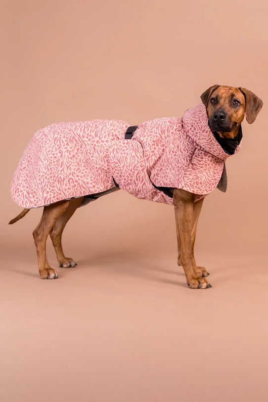 PAIKKA haină de iarnă pentru câine Visibility Winter Jacket 45 x 40 x 2,1 cm multicolor 1042123