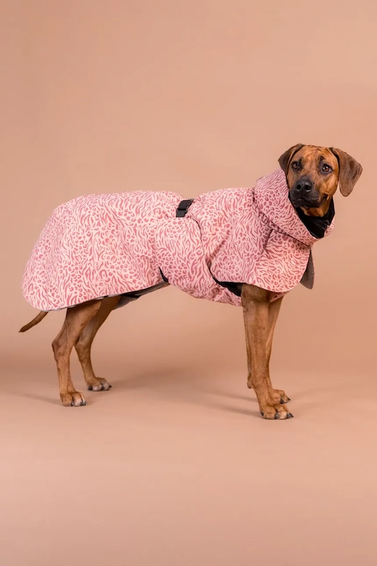 Зимно палто за куче PAIKKA Visibility Winter Jacket 48 x 42 x 2,1 cm 1042129