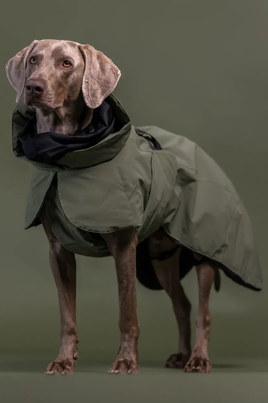 PAIKKA płaszcz zimowy dla psa Visibility Winter Jacket 31 x 27 x 2,1 cm 1045175 zielony