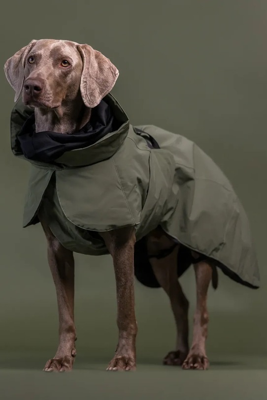 Зимно палто за куче PAIKKA Visibility Winter Jacket 45 x 40 x 2,1 cm 1045181 зелен