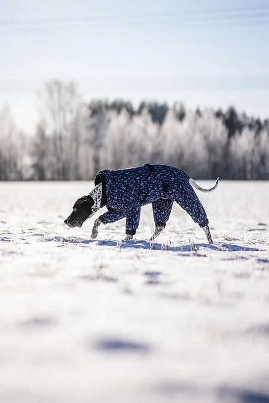 PAIKKA kombinezon zimowy dla psa Winter Suit 38 x 30 x 2 cm 1046036