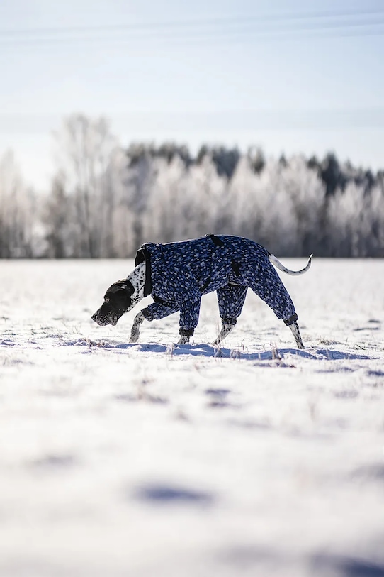 Zimný overal pre psa PAIKKA Winter Suit 49 x 38 x 2 cm 1046039