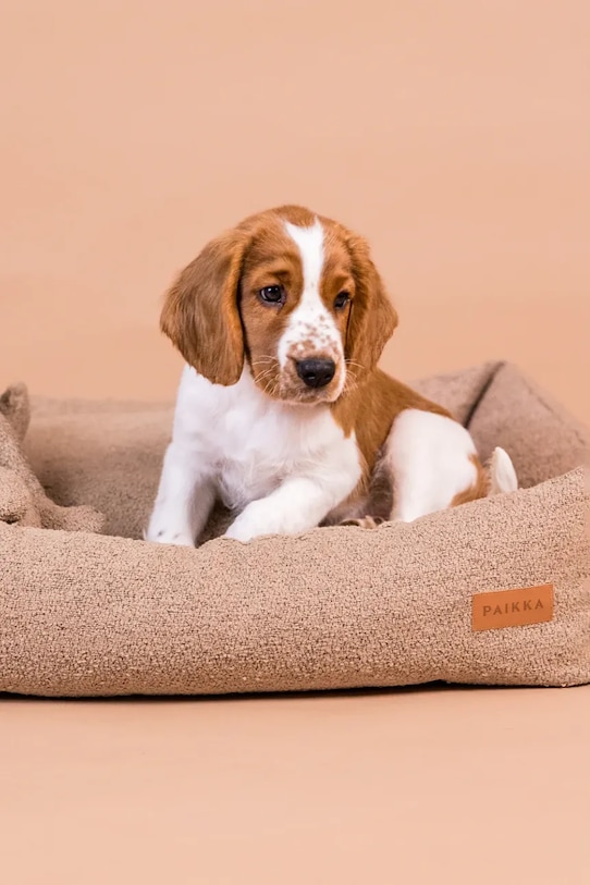 Легло за домашен любимец PAIKKA Bouclé 95 x 75 x 20 cm кафяв 1021023