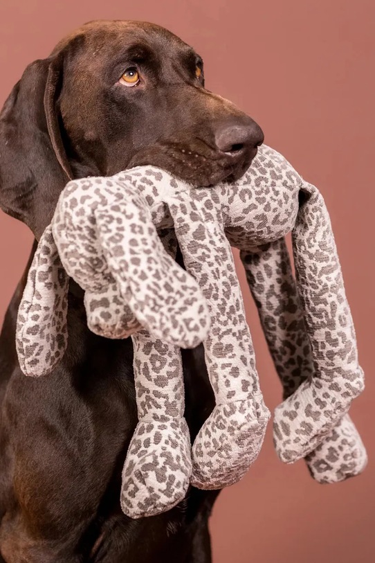 PAIKKA zabawka dla psa Stone Leo 50 cm multicolor 1058002