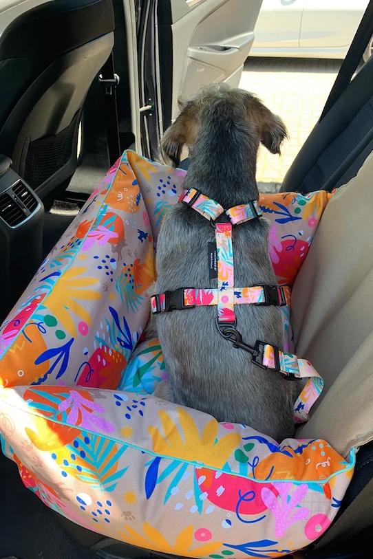 Lifestyle Bebobi fotelik samochodowy dla psa Ero Soft 40 x 40 x 25 cm EKMS23B multicolor