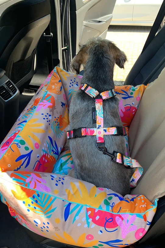 Lifestyle Bebobi fotelik samochodowy dla psa Ero Soft 56 x 40 x 25 cm EKMM23B multicolor