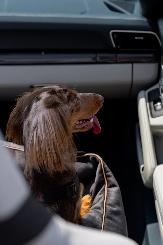 Bebobi fotelik samochodowy dla psa Ergo Soft 40 x 40 x 25 cm EPMSWSC