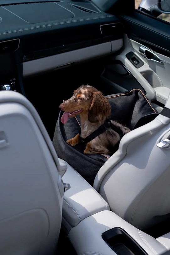 Bebobi fotelik samochodowy dla psa Ergo Soft 56 x 40 x 25 cm multicolor EPMMWSC