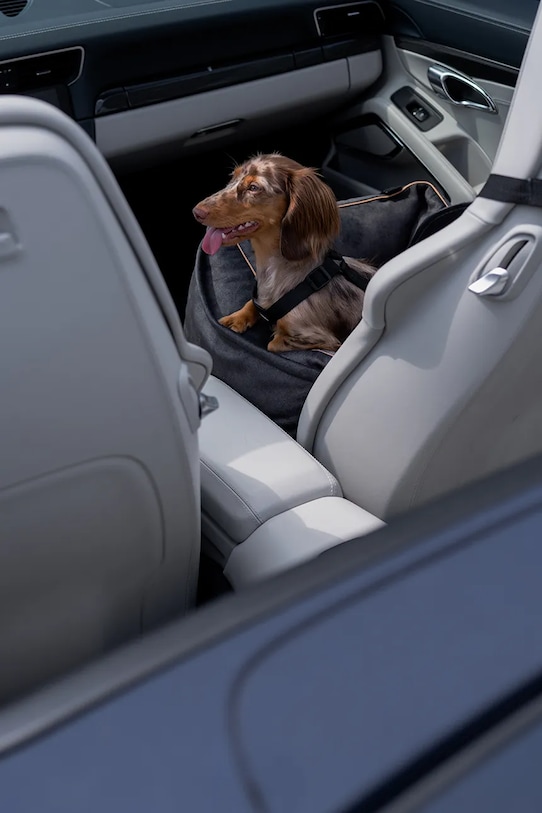 Bebobi fotelik samochodowy dla psa Ergo Soft 56 x 40 x 25 cm EPMMWSC multicolor