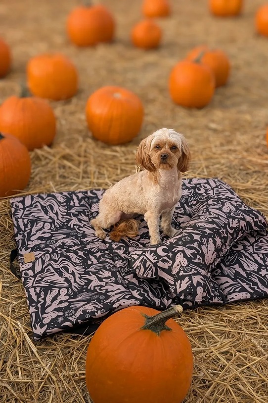 Lifestyle Bebobi κρεβάτι για σκύλο 75 x 60 x 3 cm CKLM20B πολύχρωμο