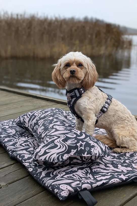 Bebobi κρεβάτι για σκύλο 75 x 60 x 3 cm πολύχρωμο CKLM20B