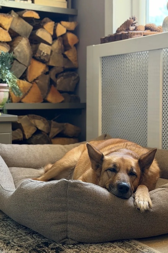 Bebobi legowisko dla pupila Moe 100 x 90 x 20 cm multicolor MPLLWB