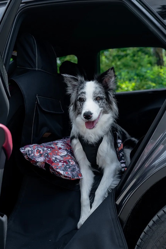 Bebobi mata samochodowa z pasem bezpieczeństwa dla pupila 50 x 40 x 8 cm czarny KMMBSC