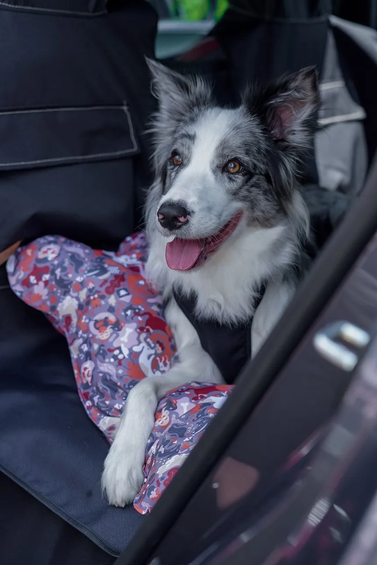 Bebobi mata samochodowa z pasem bezpieczeństwa dla pupila 50 x 40 x 8 cm KMMBSC