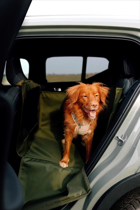 Bebobi mata samochodowa z pasem bezpieczeństwa dla psa 70 x 55 x 5 cm D23MMSKO zielony AA00