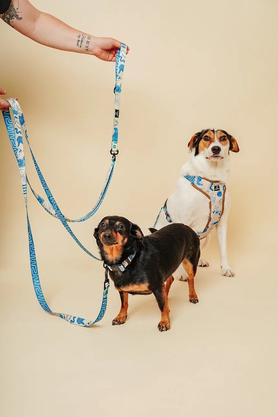 Bebobi podwójna smycz dla psów 2,5 m SDKA2032C