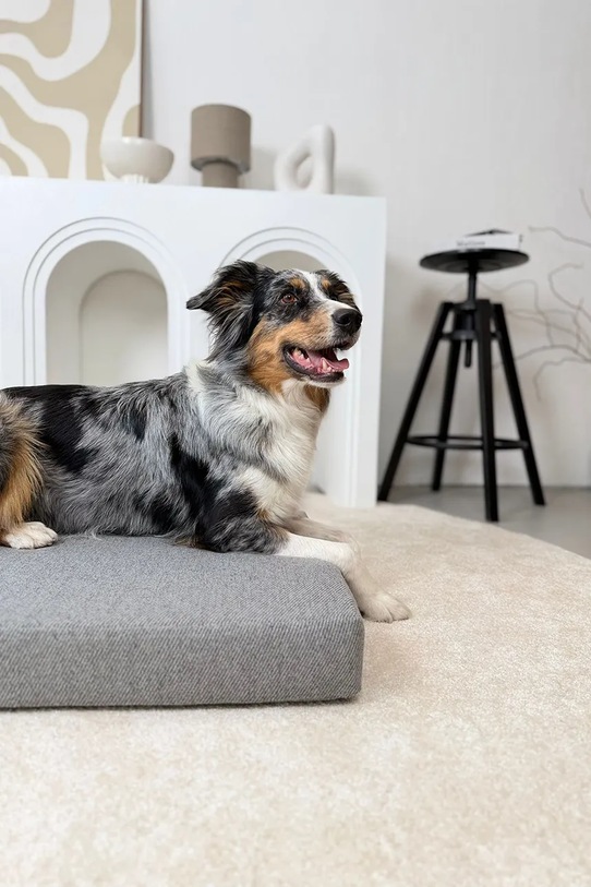 Bebobi legowisko ortopedyczne dla pupila Lilo 65 x 50 x 17 cm LPLSFT