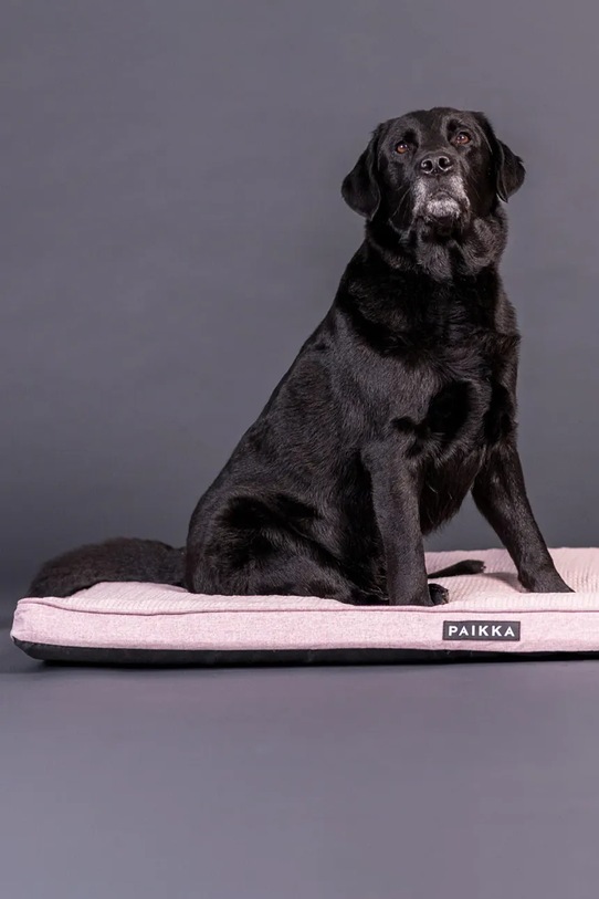 PAIKKA legowisko ortopedyczne i chłodzące dla psa 120 x 80 x 5 cm 1022013 różowy AA00