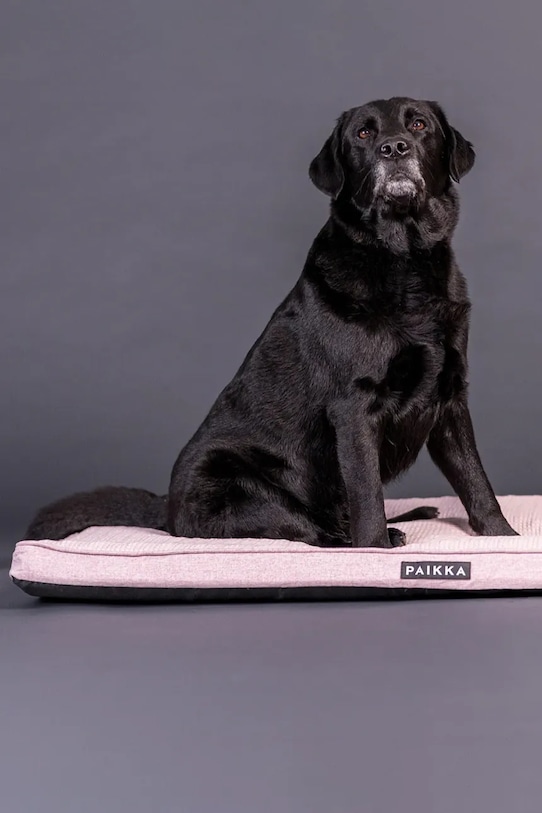 PAIKKA legowisko ortopedyczne i chłodzące dla psa 120 x 80 x 5 cm 1022013 różowy AA00