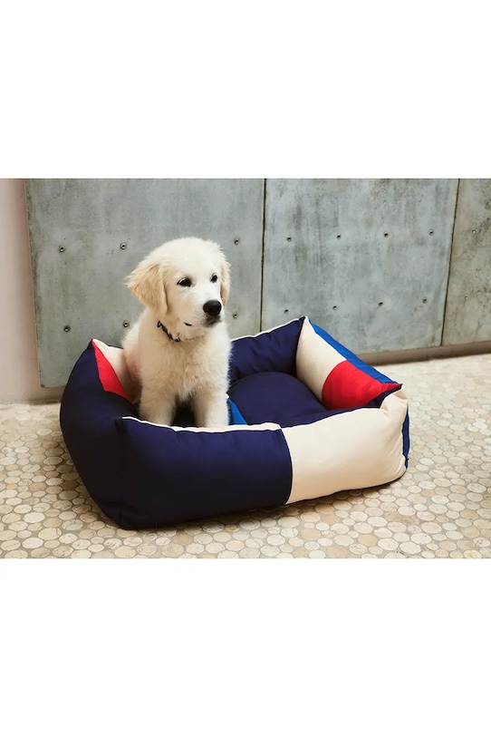 Lifestyle HAY obroża dla psa 2,5 x 45 cm AD864.D012.AO17 multicolor