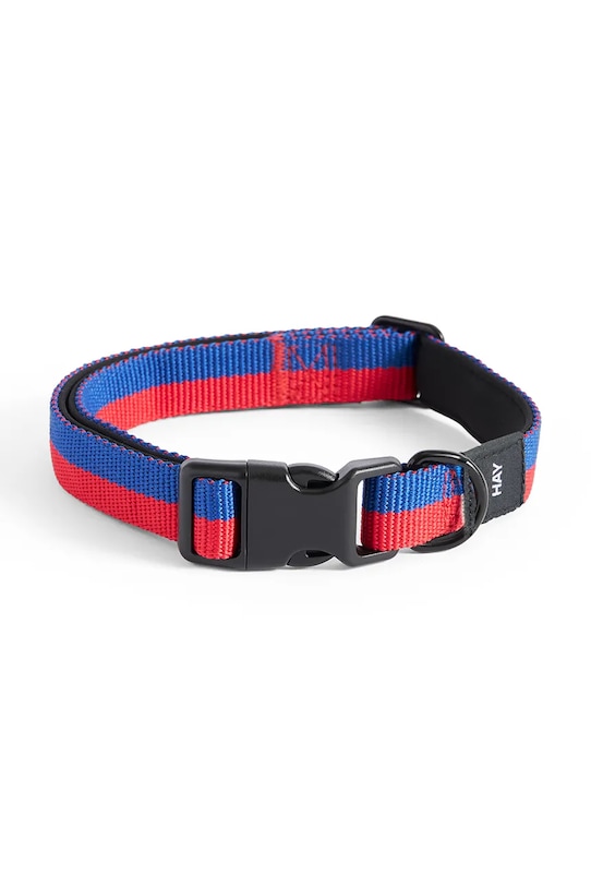 HAY obroża dla psa 2,5 x 45 cm multicolor AD864.D012.AL56