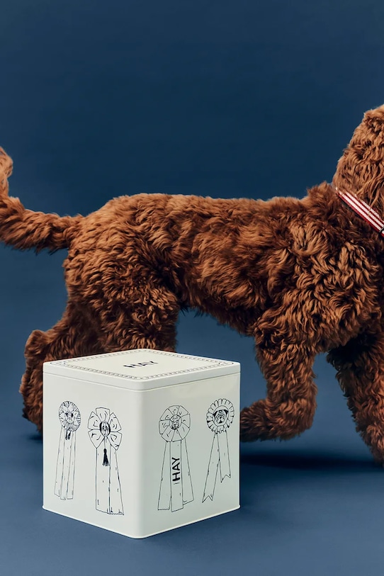 HAY pojemnik dla pupila 22 x 22 x 22 cm biały AF176.A603.AG93